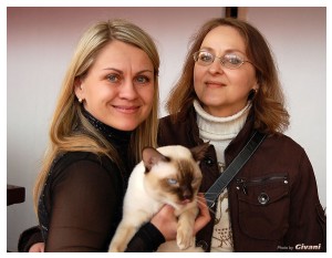 Cats Shows Photo • Выставки кошек - Cats Show • March, 2010 • Донецк - 556