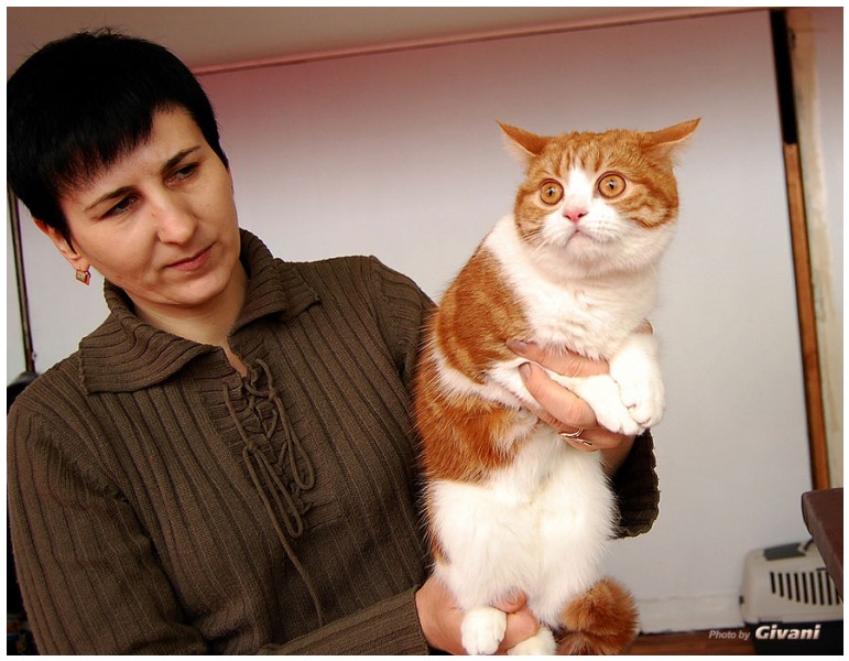 Cats Shows Photo • Выставки кошек - Cats Show • March, 2010 • Донецк - 505