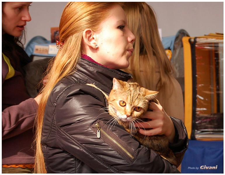 Cats Shows Photo • Выставки кошек - Cats Show • March, 2010 • Донецк - 501