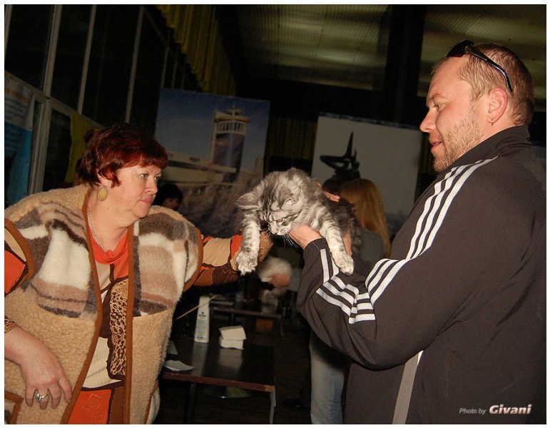Cats Shows Photo • Выставки кошек - Cats Show • March, 2010 • Донецк - 374