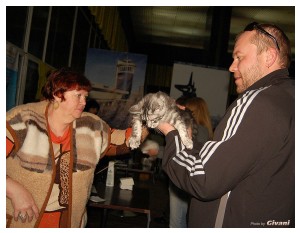 Cats Shows Photo • Выставки кошек - Cats Show • March, 2010 • Донецк - 374