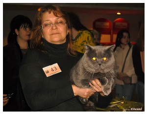 Cats Shows Photo • Выставки кошек - Cats Show • March, 2010 • Донецк - 399
