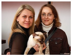 Cats Shows Photo • Выставки кошек - Cats Show • March, 2010 • Донецк - 554