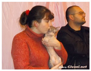 Cats Shows Photo • Выставки кошек - Cats Show • December, 2009 • Донецк - 10