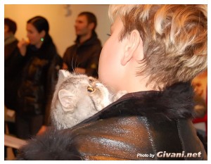 Cats Shows Photo • Выставки кошек - Cats Show • December, 2009 • Донецк - 31