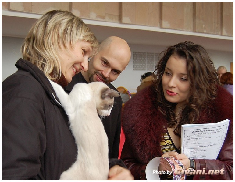 Cats Shows Photo • Выставки кошек - Cats Show • December, 2009 • Донецк - 22