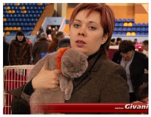Cats Shows Photo • Выставки кошек - Cats Show • February, 2010 • Донецк - 030