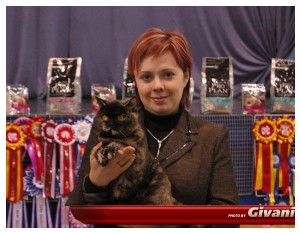 Cats Shows Photo • Выставки кошек - Cats Show • February, 2010 • Донецк - 040