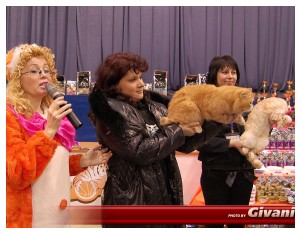Cats Shows Photo • Выставки кошек - Cats Show • February, 2010 • Донецк - 062