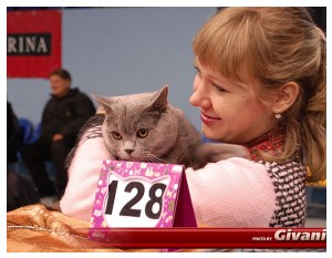 Cats Shows Photo • Выставки кошек - Cats Show • February, 2010 • Донецк - 102