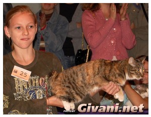 Cats Shows Photo • Выставки кошек - Cats Show • September, 2009 • Донецк - 009