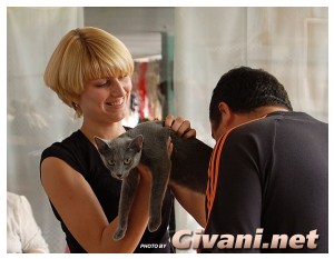 Cats Shows Photo • Выставки кошек - Cats Show • September, 2009 • Донецк - 048