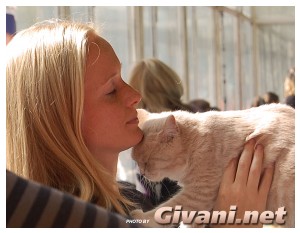 Cats Shows Photo • Выставки кошек - Cats Show • September, 2009 • Донецк - 047