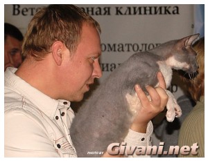 Cats Shows Photo • Выставки кошек - Cats Show • September, 2009 • Донецк - 069