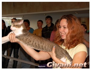 Cats Shows Photo • Выставки кошек - Cats Show • September, 2009 • Донецк - 001