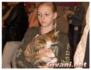 Cats Shows Photo • Выставки кошек - Cats Show • September, 2009 • Донецк - 011