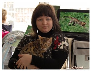 Cats Shows Photo • Выставки кошек - Cats Show • February, 2011 • Донецк - 001