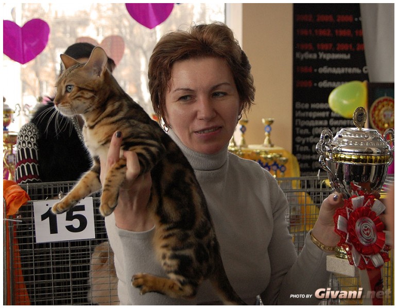 Cats Shows Photo • Выставки кошек - Cats Show • February, 2011 • Донецк - 027