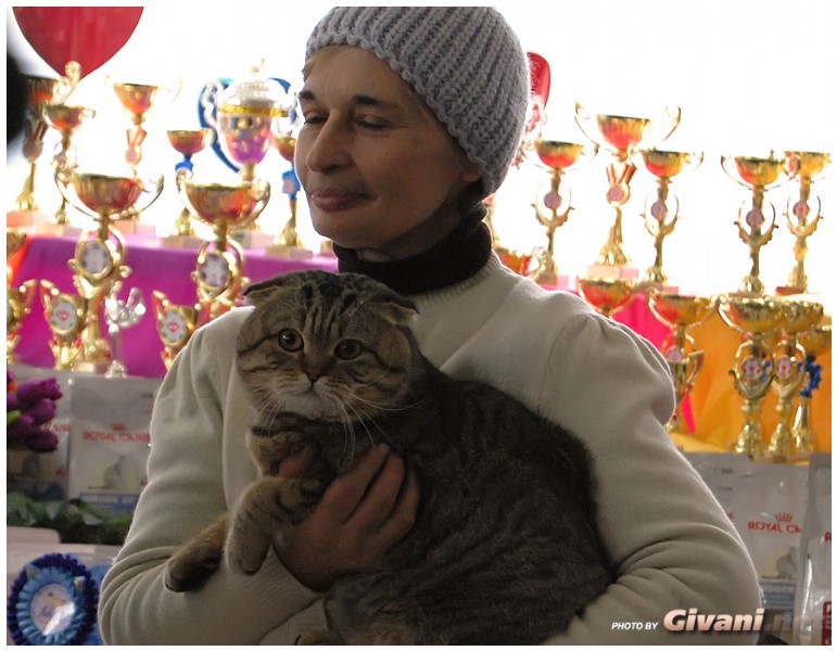 Cats Shows Photo • Выставки кошек - Cats Show • February, 2011 • Донецк - 033