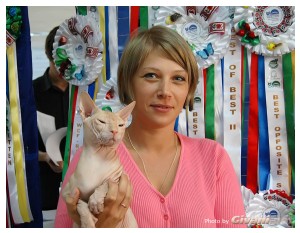 Cats Shows Photo • Выставки кошек - Cats Show • September, 2011 • Запорожье - Don Sphynx