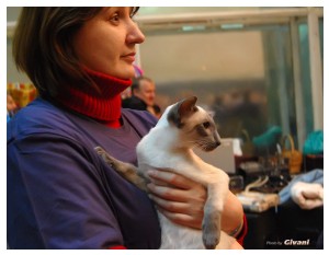 Cats Shows Photo • Выставки кошек - November, 2011 • Кубок Hill's • Донецк - 16