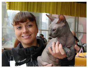 Cats Shows Photo • Выставки кошек - Cats Show • April, 2012 • Донецк - 19