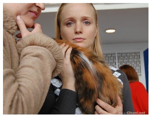 Cats Shows Photo • Выставки кошек - Cats Show • April, 2012 • Донецк - 48