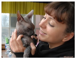Cats Shows Photo • Выставки кошек - Cats Show • April, 2012 • Донецк - 20
