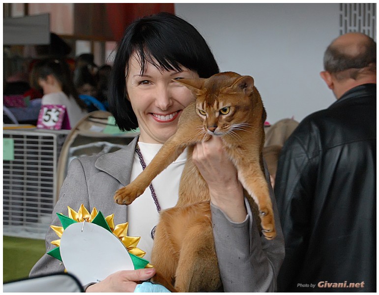 Cats Shows Photo • Выставки кошек - Cats Show • April, 2012 • Донецк - 60