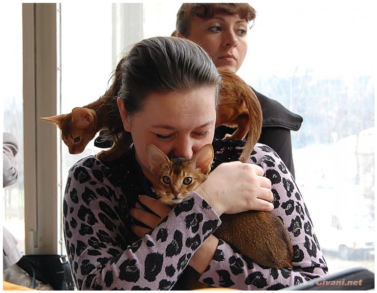Cats Shows Photo • Выставки кошек - Cats Show • April, 2012 • Донецк - Nadezhda Hrapovitska and her cats