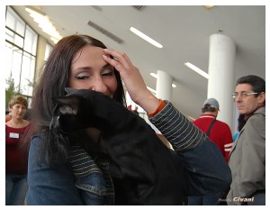Cats Shows Photo • Выставки кошек - May, 2012 • Ласковый зверь • Луганск - 13