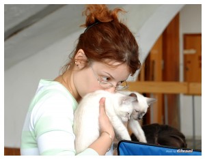 Cats Shows Photo • Выставки кошек - May, 2012 • Ласковый зверь • Луганск - 22