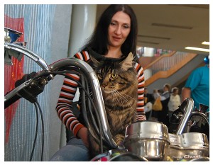 Cats Shows Photo • Выставки кошек - May, 2012 • Ласковый зверь • Луганск - 37