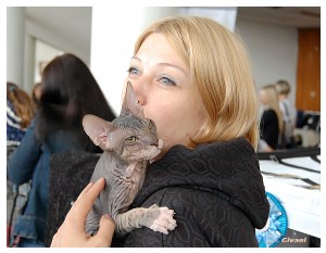Cats Shows Photo • Выставки кошек - May, 2012 • Ласковый зверь • Луганск - 02