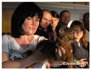 Cats Shows Photo • Выставки кошек - Cats Show • September, 2010 • Донецк - 018