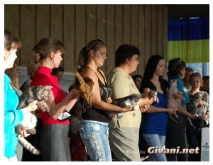 Cats Shows Photo • Выставки кошек - Cats Show • September, 2010 • Донецк - 030
