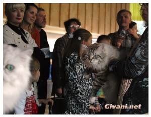 Cats Shows Photo • Выставки кошек - Cats Show • September, 2010 • Донецк - 007