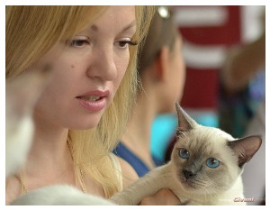 Cats Shows Photo • Выставки кошек - September, 2012 • Кубок Hill's • Донецк - 033