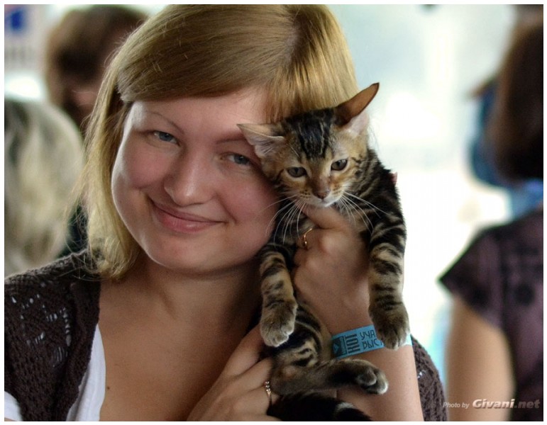 Cats Shows Photo • Выставки кошек - September, 2012 • Кубок Hill's • Донецк - 026