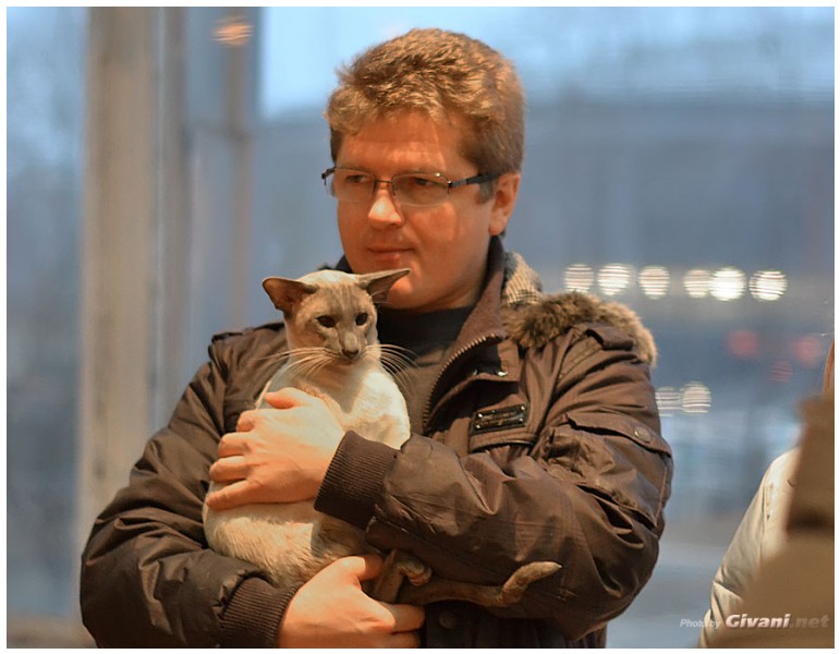 Cats Shows Photo • Выставки кошек - Cats Show • December, 2012 • Донецк - 23