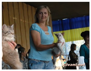 Cats Shows Photo • Выставки кошек - Cats Show • September, 2010 • Донецк - 009