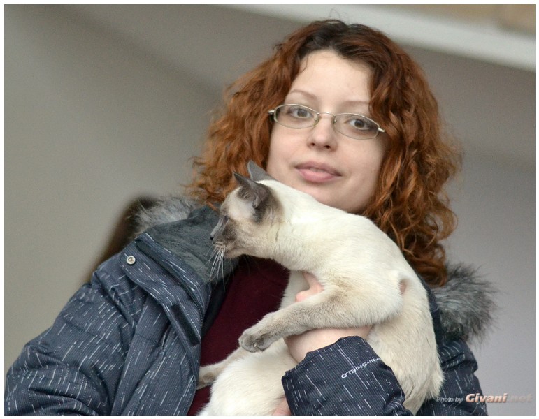 Cats Shows Photo • Выставки кошек - Cats Show • February, 2013 • Донецк - 36