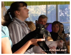 Cats Shows Photo • Выставки кошек - Cats Show • September, 2010 • Донецк - 032