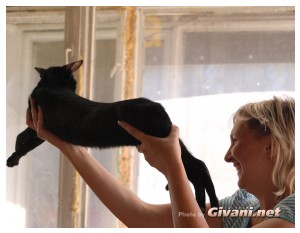 Cats Shows Photo • Выставки кошек - Cats Show • September, 2010 • Донецк - 057