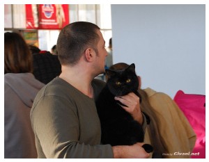 Cats Shows Photo • Выставки кошек - November, 2010 • Кубок Hill's • Донецк - 036