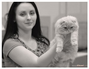 Cats Shows Photo • Выставки кошек - Cats Show • June, 2013 • Donetsk - 53