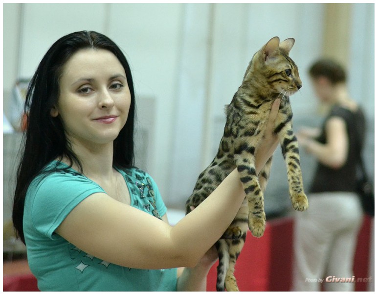 Cats Shows Photo • Выставки кошек - Cats Show • June, 2013 • Donetsk - 55