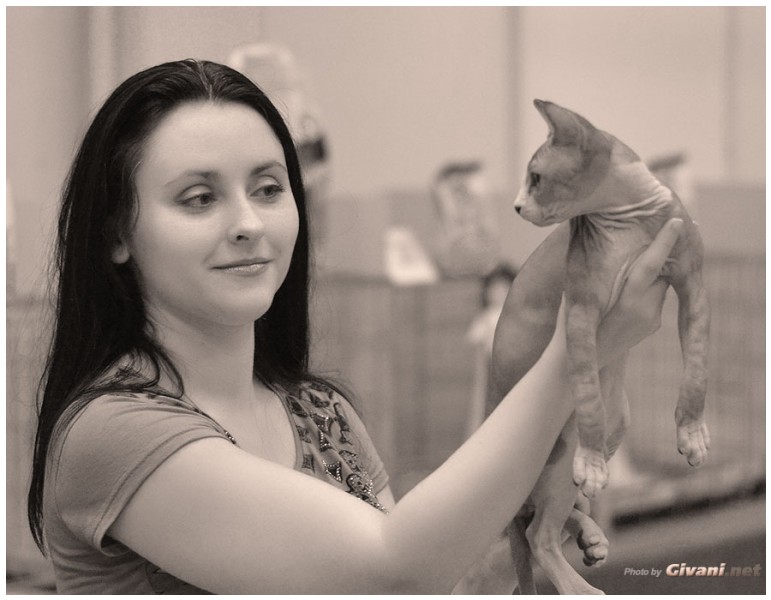 Cats Shows Photo • Выставки кошек - Cats Show • June, 2013 • Donetsk - 56