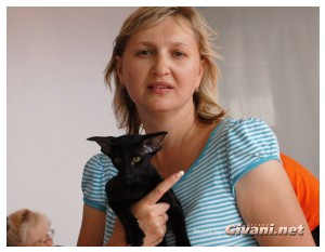 Cats Shows Photo • Выставки кошек - Cats Show • September, 2010 • Донецк - 104