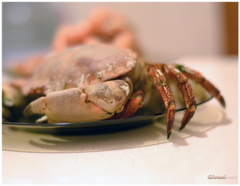 Givani.net - Food Photo • Еда фото - Crab Photo • Краб фото